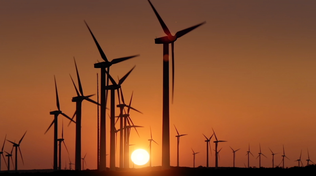 RED ELÉCTRICA – MCCANN