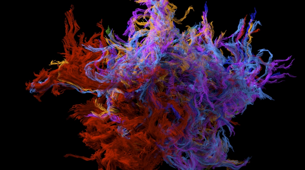 EL ÚLTIMO JINETE – LOLAFILMS