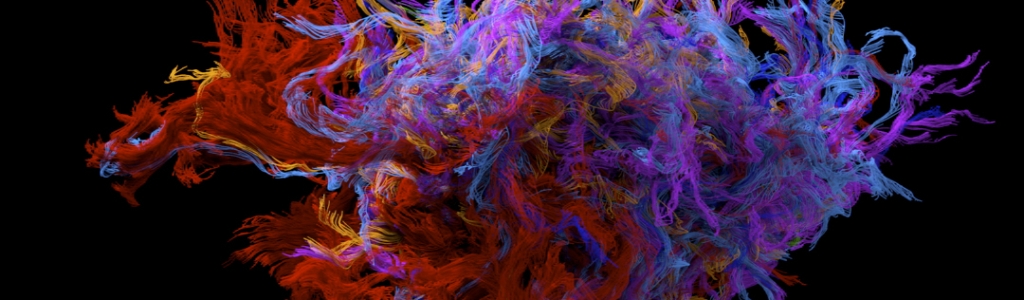 EL ÚLTIMO JINETE – LOLAFILMS